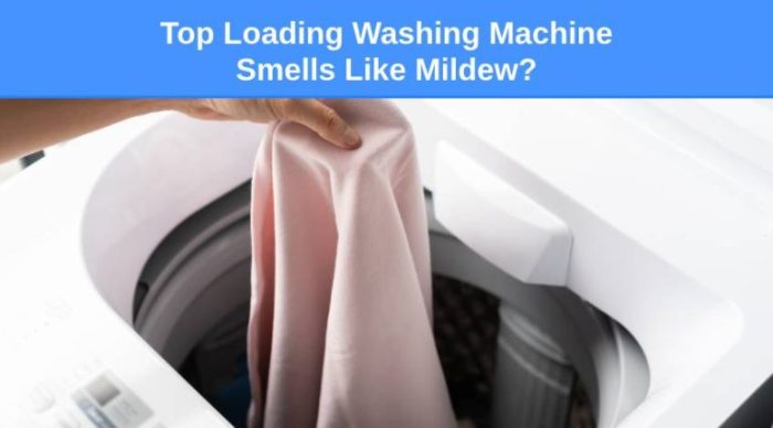 An Easy Fix for Your Smelly Washing Machine - LORAfied An Easy Fix for Your Smelly Washing Machine - LORAfied